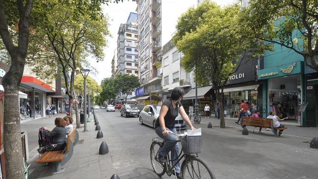 ¿cual es la unica zona de la plata en la que crecio el alquiler de locales?