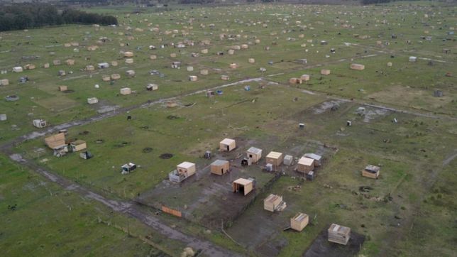 garro disparo contra nacion y provincia por las tomas de tierras en el gran la plata