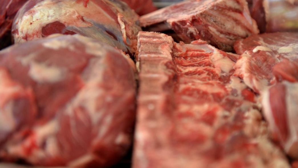 Aseguran que la semana que viene Argentina volvería a exportar carne