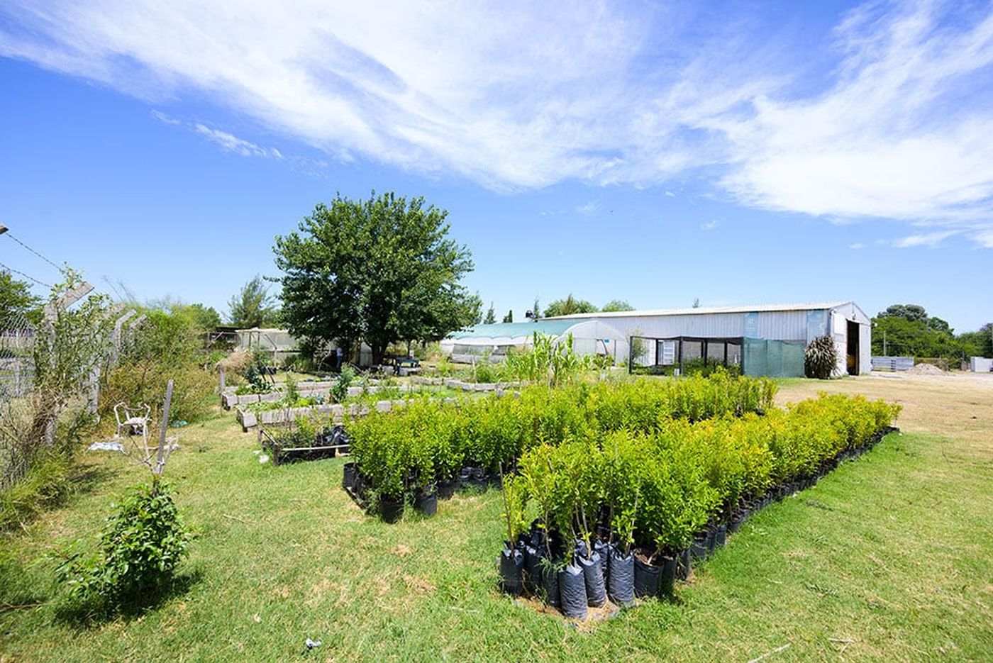 unnamed - 2025-01-25T172007.302.jpg