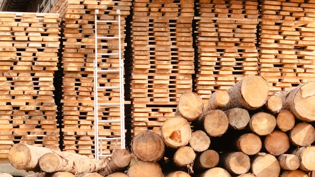 cerro una historica maderera de la plata tras mas de 50 anos y crece la crisis comercial