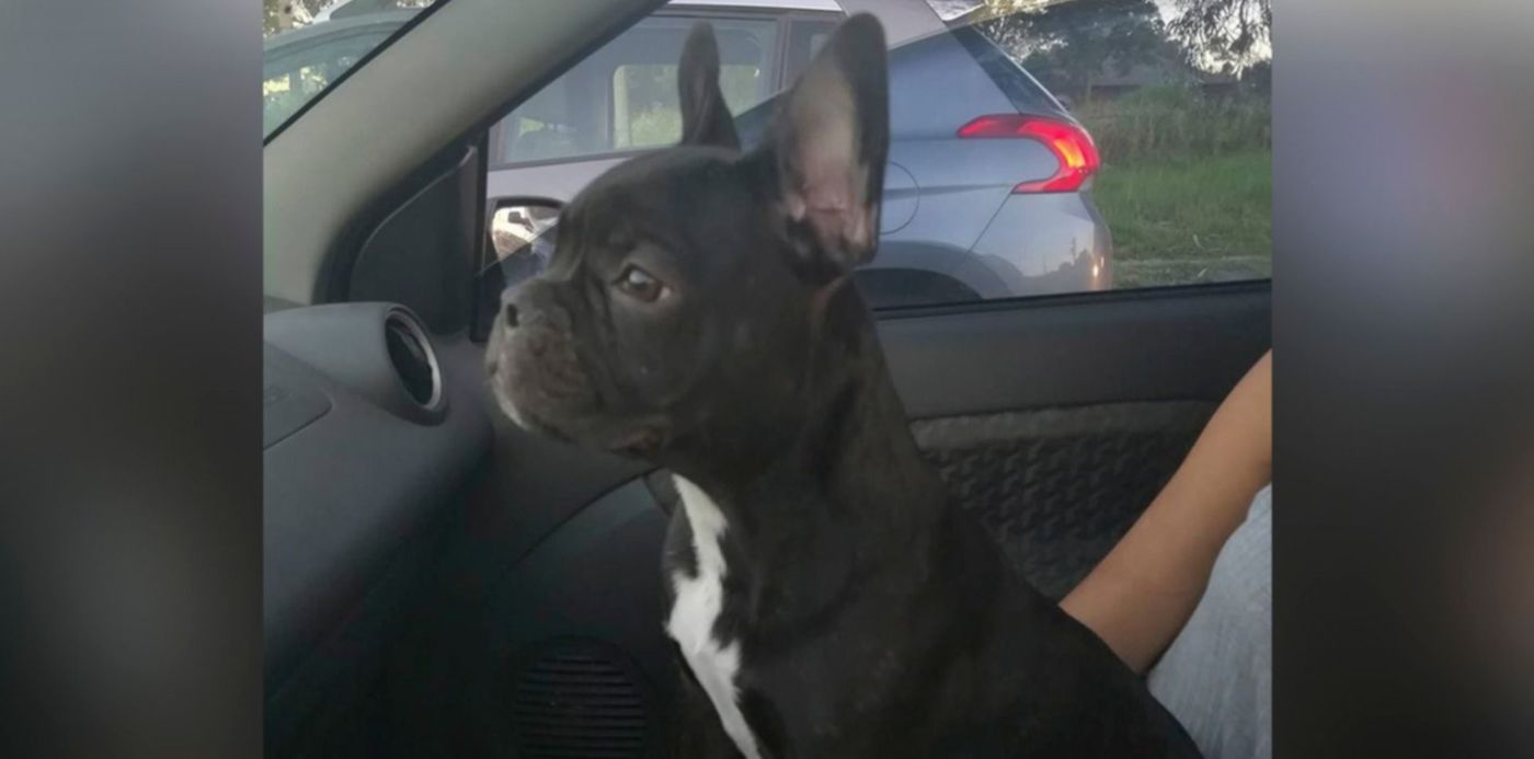 1555356455236.jpg?x=2&scaleX=1&scaleY=1&ow=1450&oh=950&y=30&width=1445&height=723&rotate=0&&cw=1920&ch=950