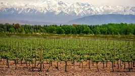 la imperdible promocion de banco nacion para viajar dentro del pais la imperdible promocion de banco nacion para viajar dentro del pais