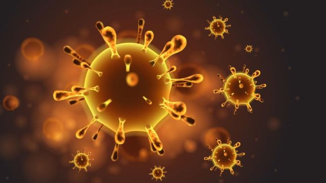 la unlp compartio los tips de una reconocida infectologa para cuidarse del coronavirus