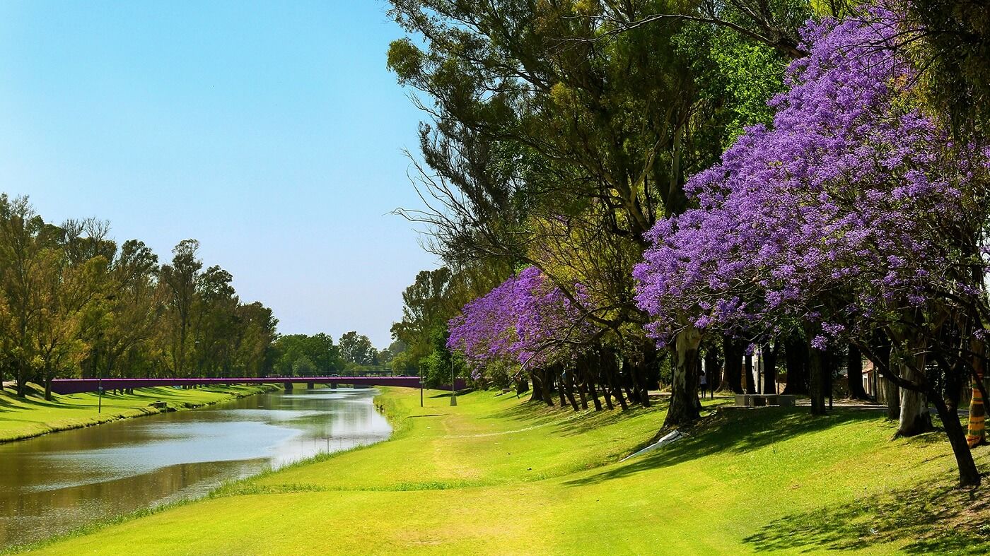 Pergamino portada.jpg