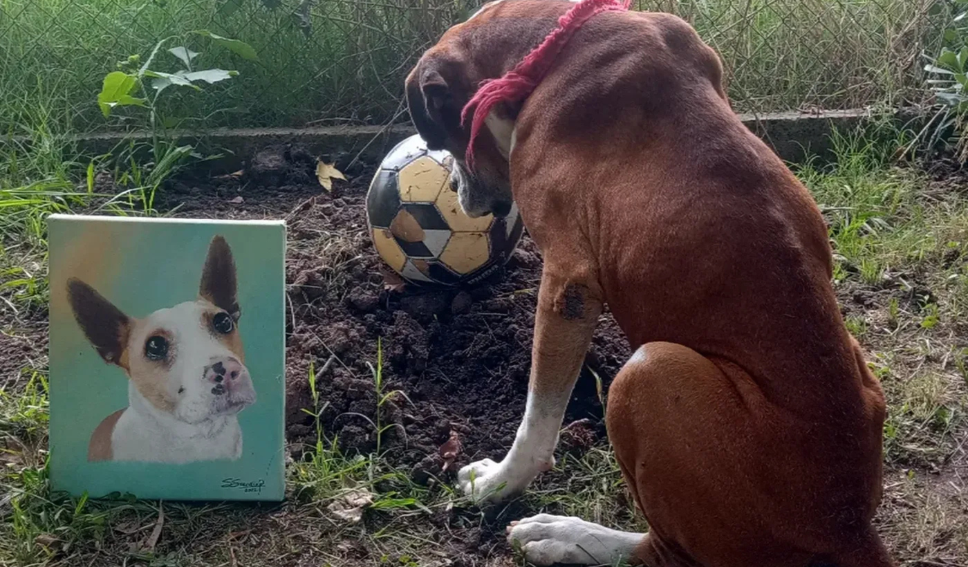 Morgan, el hermano de Corchito.png