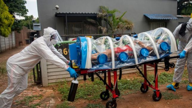 detectan una nueva variante sudafricana del covid: ¿donde circula y que tan contagiosa es?