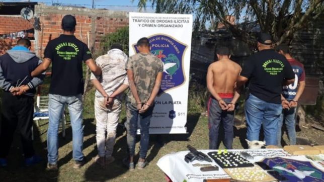 caballo de troya ii, el regreso: nuevo operativo encubierto contra la venta de drogas en la plata