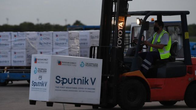 empiezan a distribuir las vacunas sputnik v: ¿cuantas le otorgan a cada provincia?