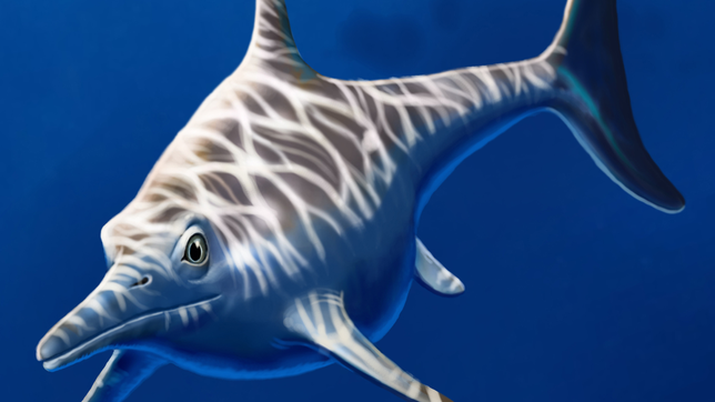 cientificos de la unlp y el conicet hallaron un reptil marino de hace 150 millones de anos