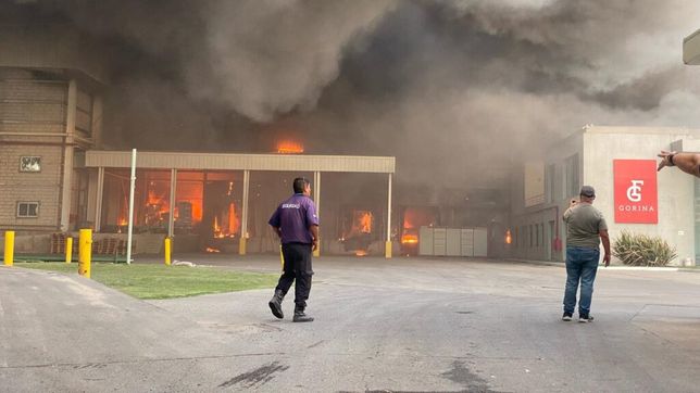 ¿cual es la principal hipotesis sobre el origen del incendio en el frigorifico gorina?