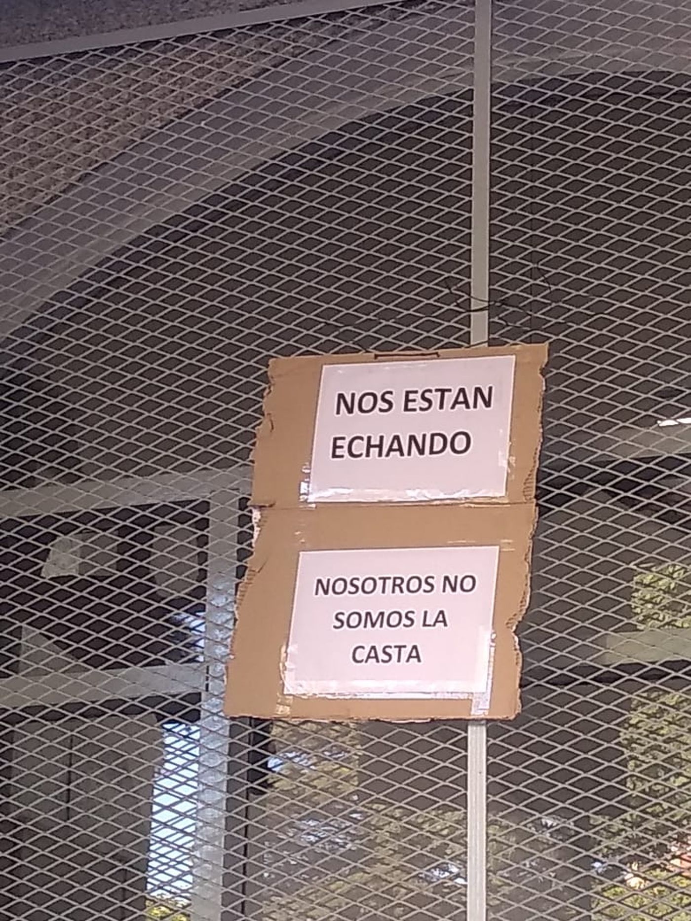 despidos en anses plaza paso (1).jpeg
