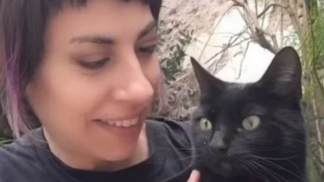 perdio a su gata en la plata, la busca con un megafono y ofrece $10.000 de recompensa