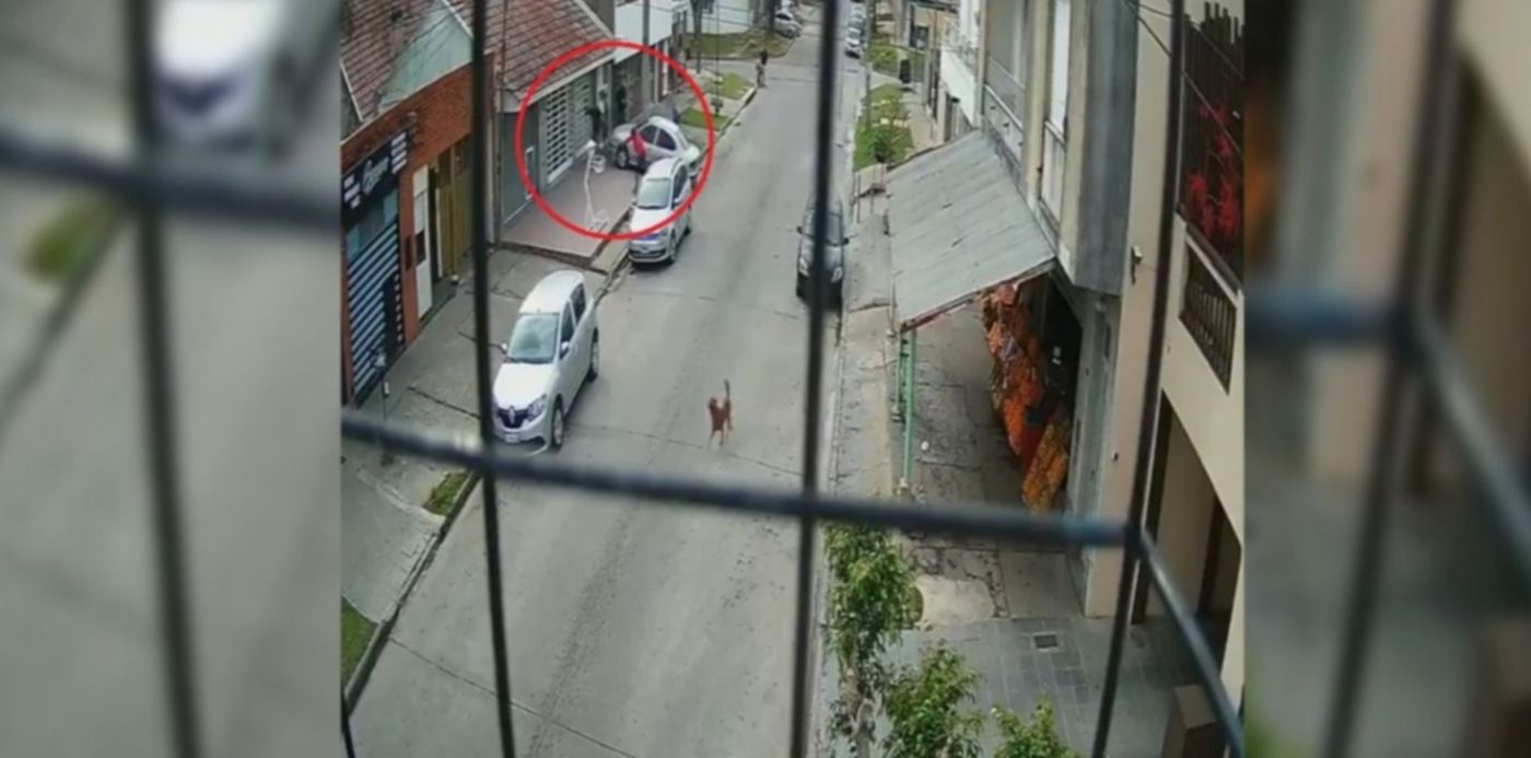 1622844822319.jpeg?x=36&y=1&width=1208&height=604&rotate=0&scaleX=1&scaleY=1&ow=1280&oh=616&&cw=1920&ch=950