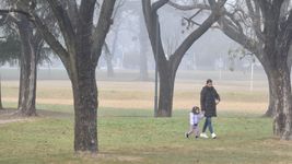 el martes amanecio cubierto de niebla, pero llega el sol