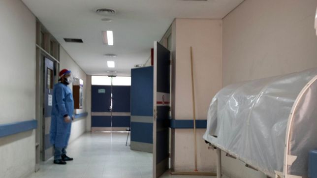 en argentina ya son mas de 600 mil los casos de coronavirus