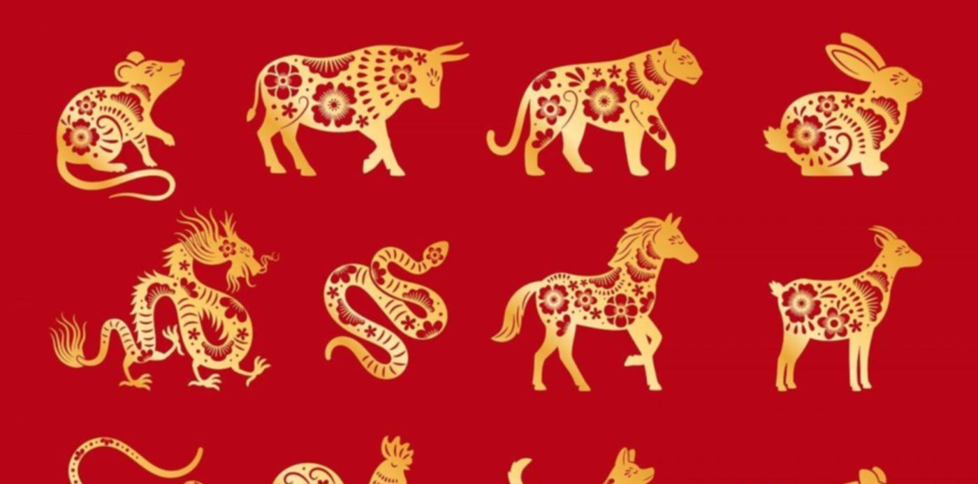 1611503792381.jpg?x=8&y=16&width=1181&height=591&rotate=0&scaleX=1&scaleY=1&ow=1200&oh=800&&cw=1920&ch=950