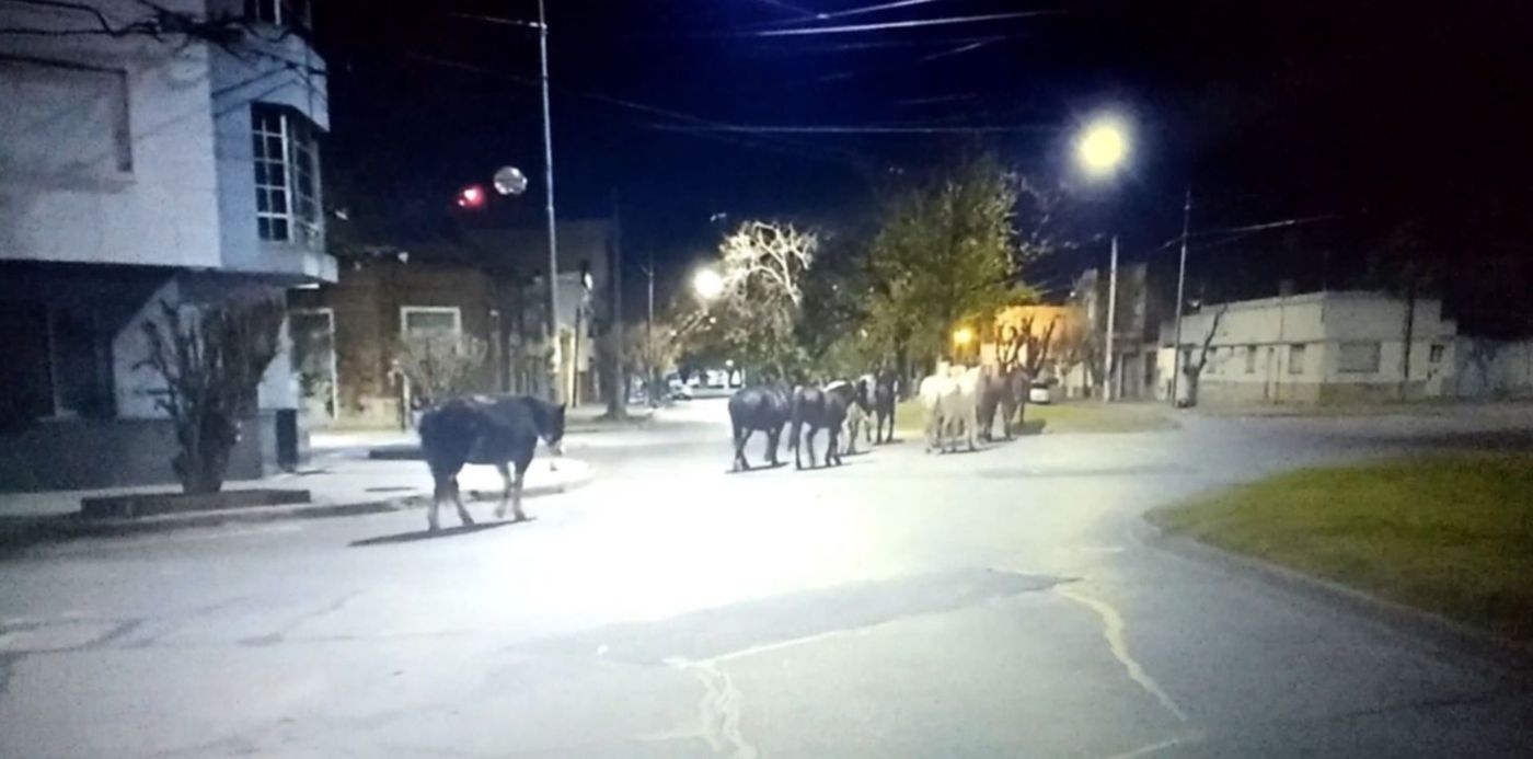 1622398053773.jpg?x=7&y=85&width=1475&height=738&rotate=0&scaleX=1&scaleY=1&ow=1500&oh=841&&cw=1920&ch=950