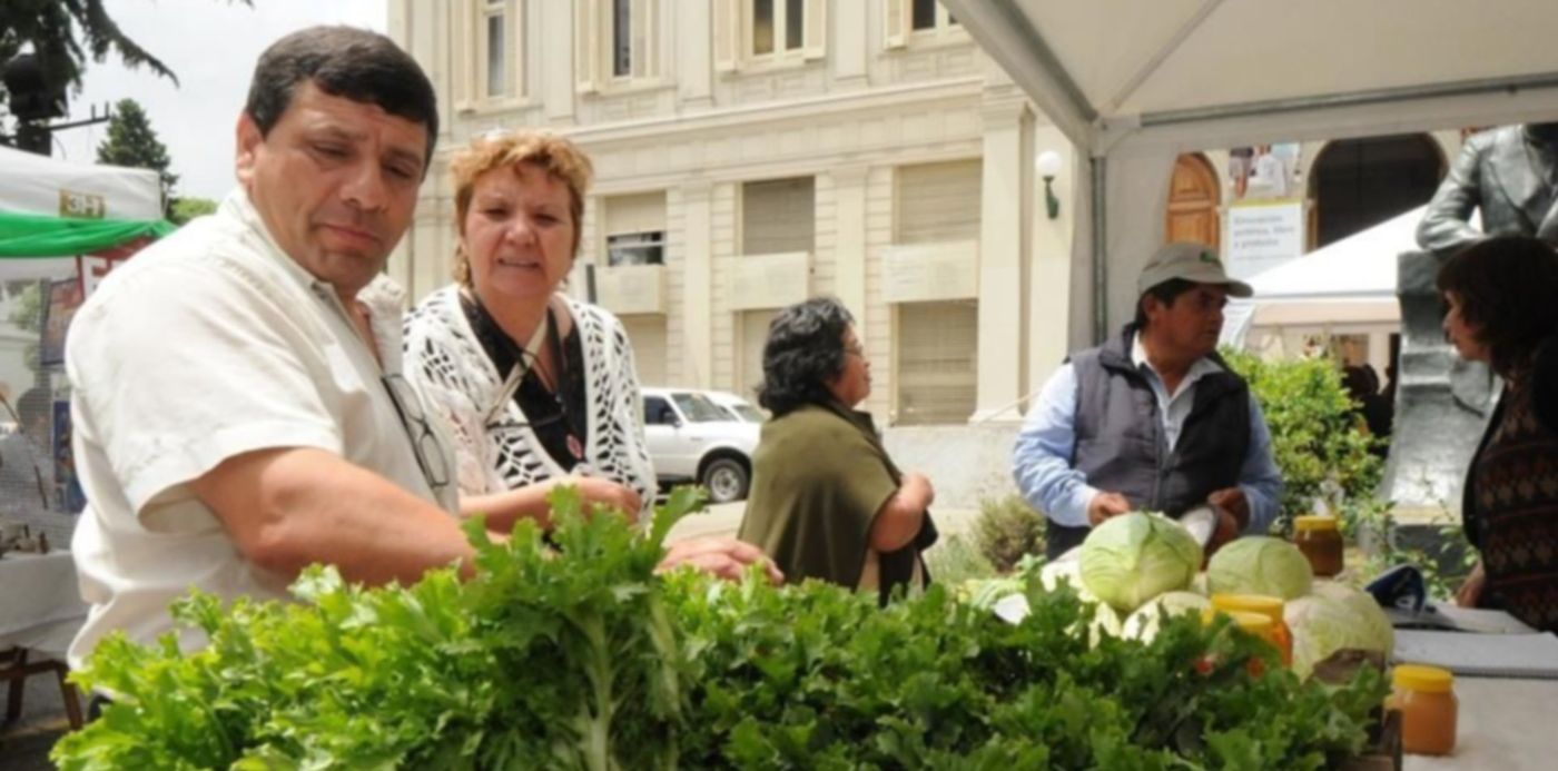 Paseo de la Economía Social UNLP