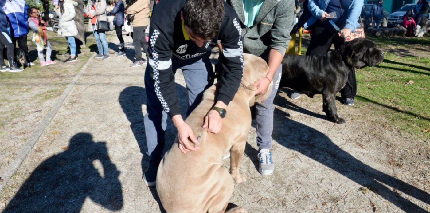 1560818202094.jpeg?x=24&y=170&width=1466&height=733&rotate=0&scaleX=1&scaleY=1&ow=1500&oh=996&&cw=1920&ch=950