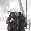 ¿Qué hay detrás del mito de la tormenta de Santa Rosa y cuándo podría llegar?
