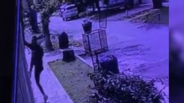 a plena luz del dia, ladrones quisieron entrar a una casa de la plata trepando por el frente