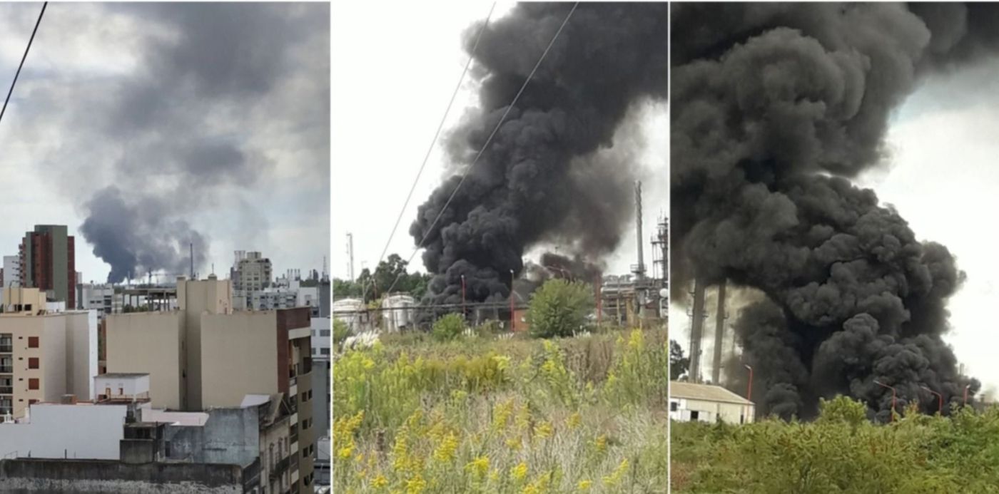 1583517563283.jpg?width=1484&rotate=0&ow=1500&x=10&y=0&scaleY=1&oh=742&height=742&scaleX=1&&cw=1920&ch=950