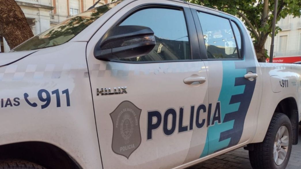 Tiene más de diez entradas en la comisaría y lo detuvieron tras robar un celular