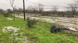 identificaron al jinete de la plata que murio junto a su caballo tras recibir una descarga electrica