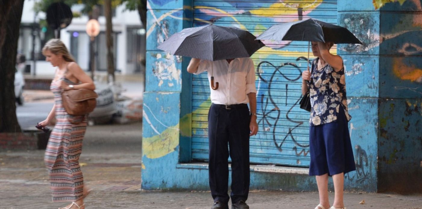 1547388881755.jpg?x=12&y=77&width=1476&height=737&rotate=0&scaleX=1&scaleY=1&ow=1500&oh=843&&cw=1920&ch=950