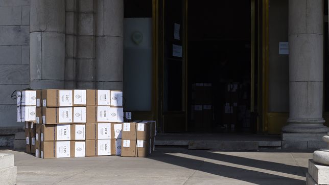 ¿que dice el fallo que dio a alak ganador de la intendencia de la plata?