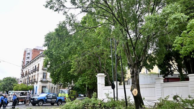 los efectos de la fuerte tormenta en la plata