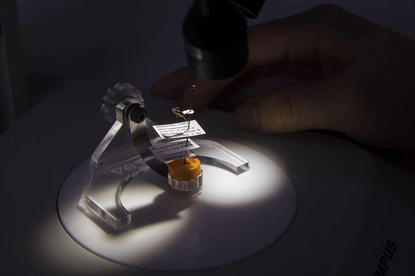 A lasting impression