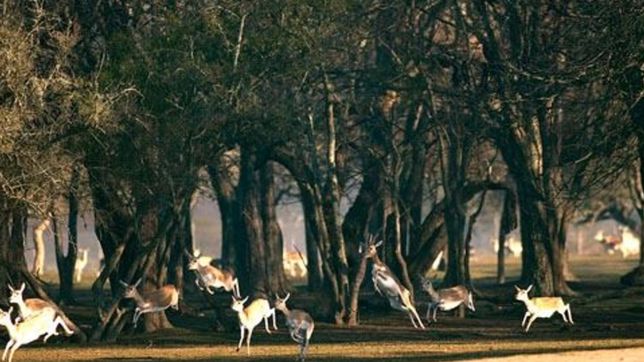 el ecas abre sus puertas en vacaciones para disfrutar de los animales y la naturaleza