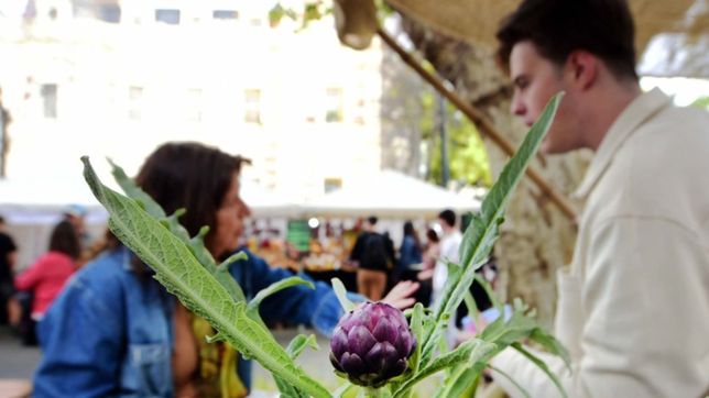 platos tipicos, clase de cocina y shows en vivo: la fiesta del alcaucil llega a los hornos