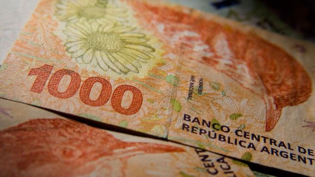 cuales son los requisitos para que un sector de monotributistas reciba el bono de $51.000