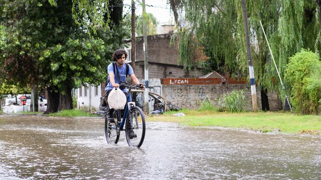 en un barrio de la plata llovieron casi 100 milimetros en menos de 12 horas