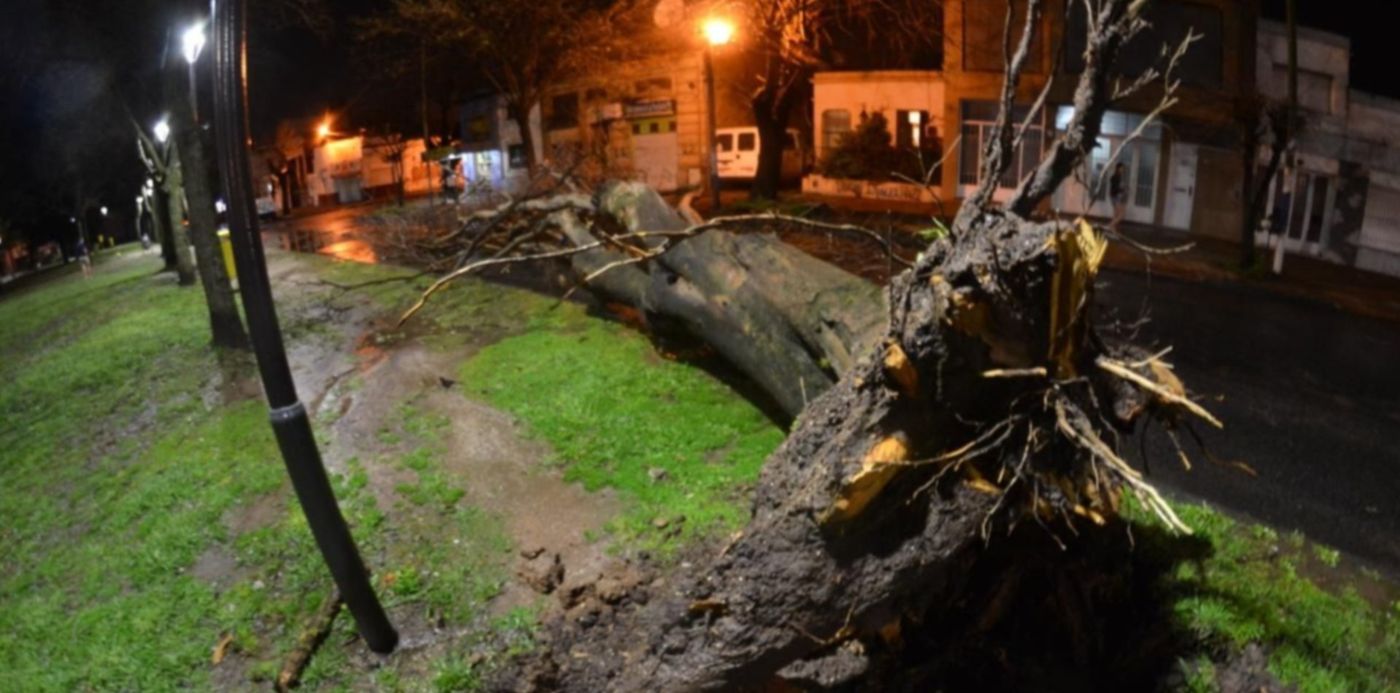 1537661062177.jpeg?height=633&ow=1280&width=1266&rotate=0&scaleX=1&scaleY=1&oh=826&x=7&y=157&&cw=1920&ch=950