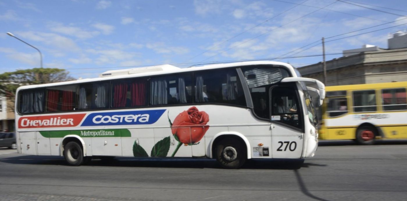 1680261967979.jpg?x=7&y=93&width=1480&height=740&rotate=0&scaleX=1&scaleY=1&ow=1500&oh=1000&&cw=1920&ch=950