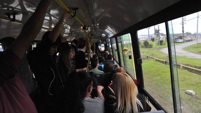 ¿como son las cabinas seguras que quieren instalar en los micros de la plata para evitar robos?