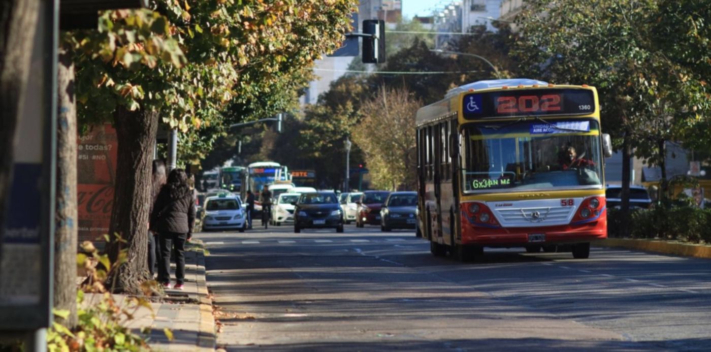 1649790291924.jpg?x=10&y=130&width=1480&height=740&rotate=0&scaleX=1&scaleY=1&ow=1500&oh=1000&&cw=1920&ch=950