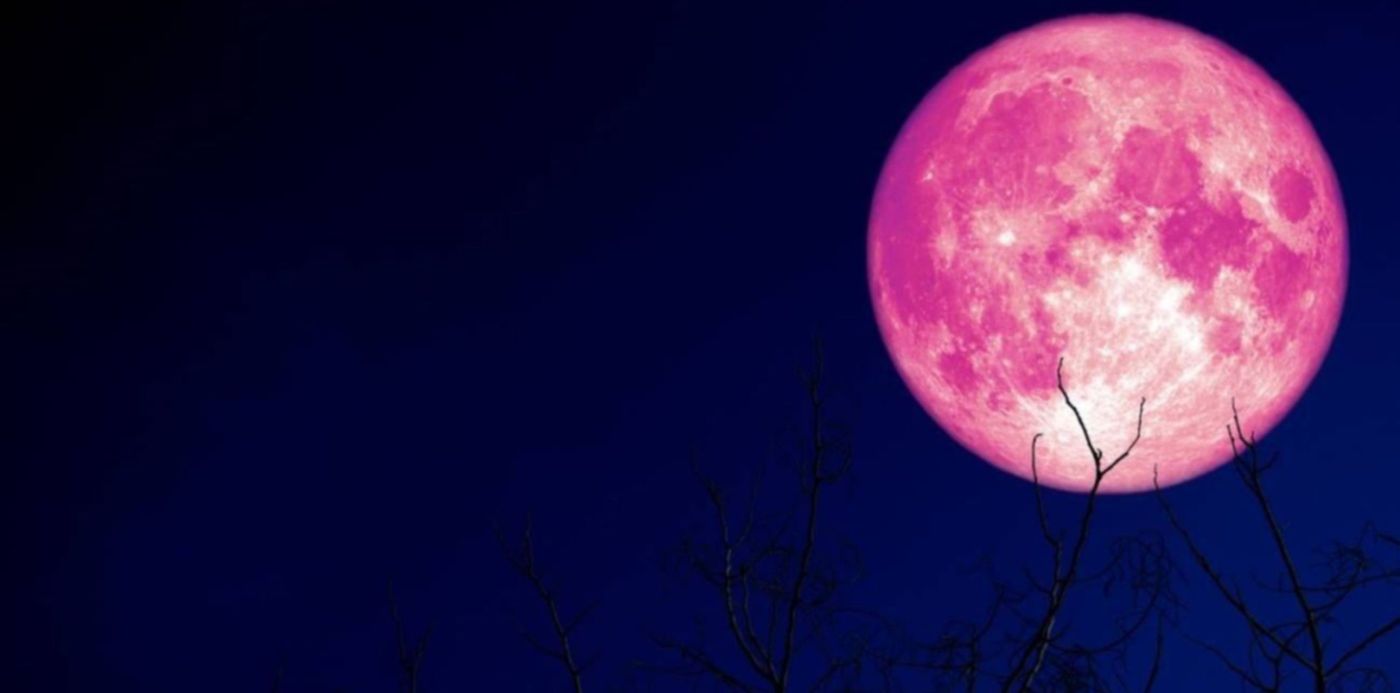 1591043711768.jpg?rotate=0&scaleX=1&y=9&width=1300&scaleY=1&ow=1300&oh=731&x=0&height=650&&cw=1920&ch=950