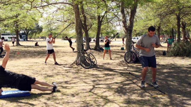 visitas, talleres y deportes: todas las actividades para hacer en el ecologico en febrero