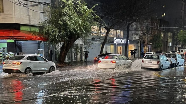 el mapa que muestra cuanto llovio en cada barrio de la plata