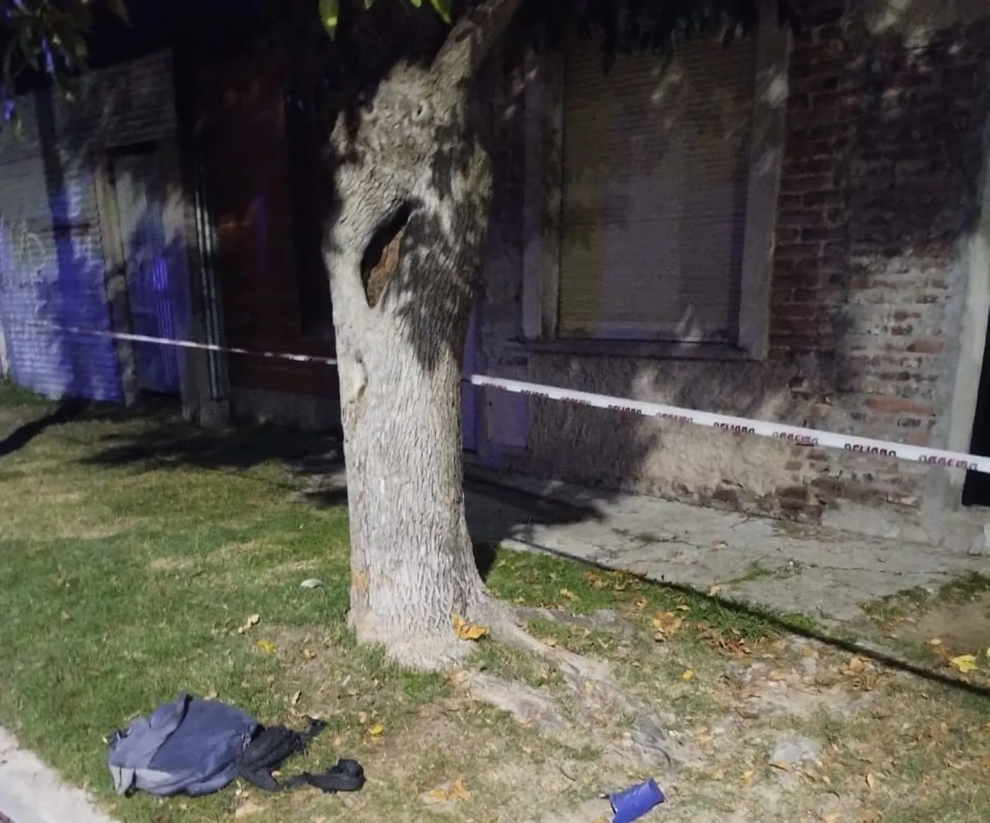 El árbol contra el que chocaron los jóvenes en Berisso