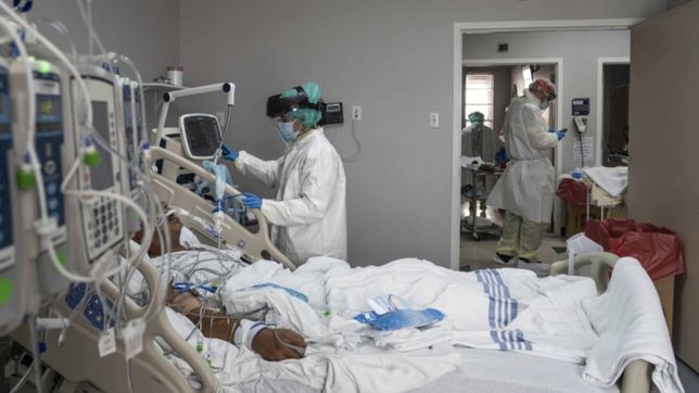 argentina sumo 10.684 nuevos casos y 262 muertes por covid-19 en 24 horas