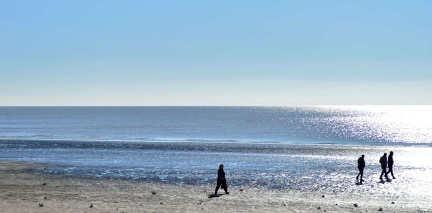 1560958685957.jpg?x=6&y=148&width=1488&height=744&rotate=0&scaleX=1&scaleY=1&ow=1500&oh=982&&cw=1920&ch=950