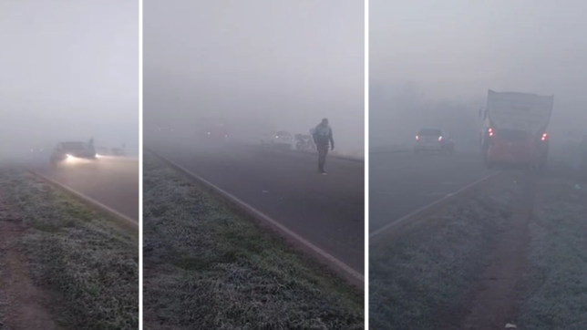 video: dos camiones y dos autos protagonizaron un grave choque en cadena en la plata