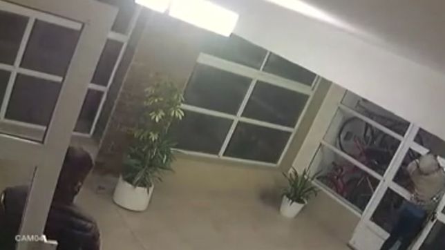 en pleno toque de queda, entraron a robar a un edificio de la plata y huyeron como si nada