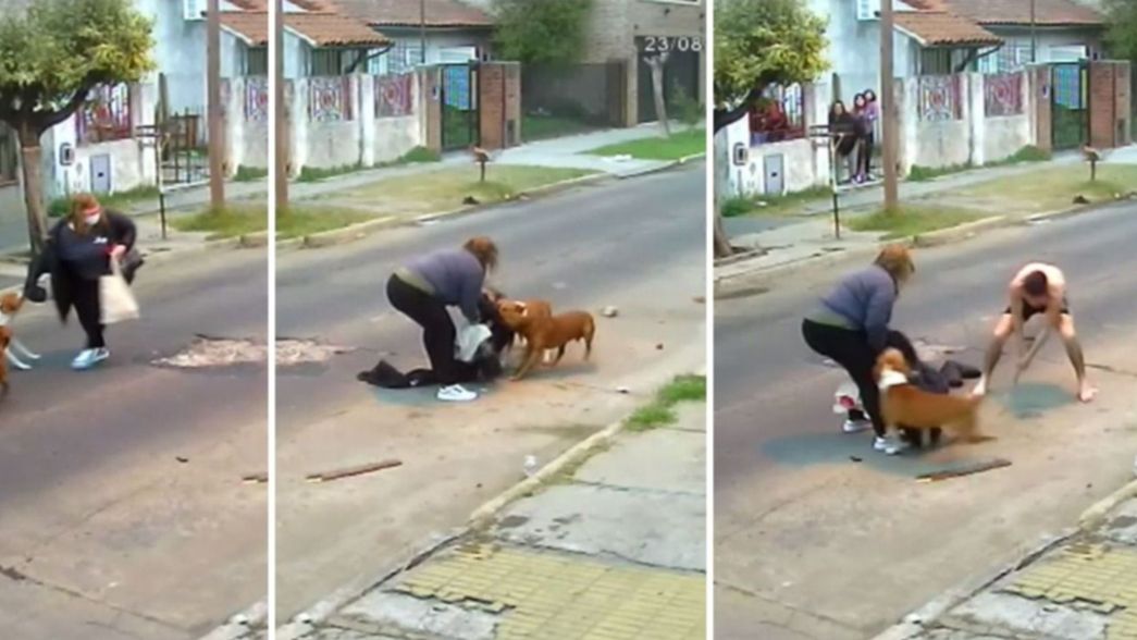 VIDEO: Tres perros atacaron a una mujer y la salvaron los vecinos con palos y piedrazos